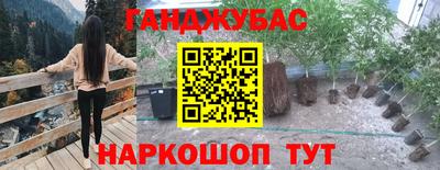 стаф Жуковский