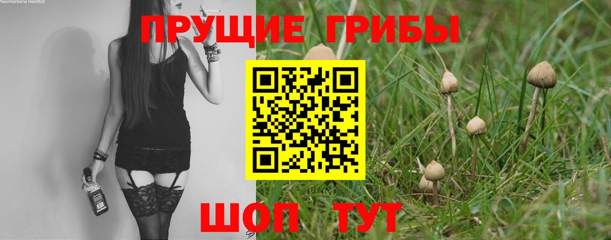 Лобня  Галлюциногенные грибы Psilocybe  Вход с VPN 